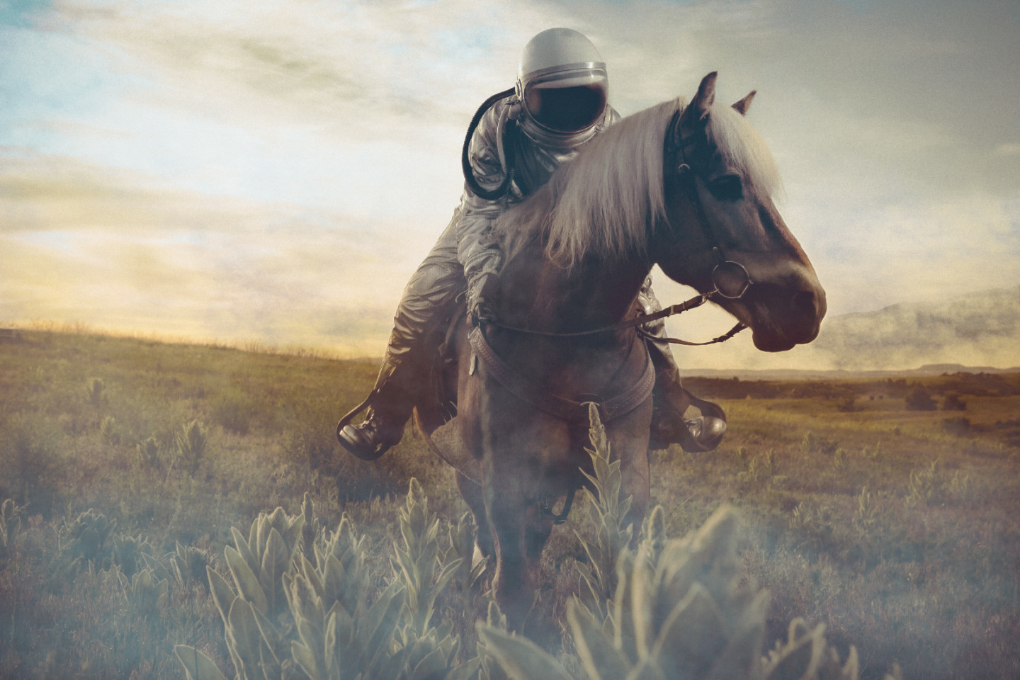 Astro Horse Astro Horse